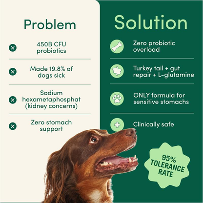 BreathBuddy Daily Dental Powder