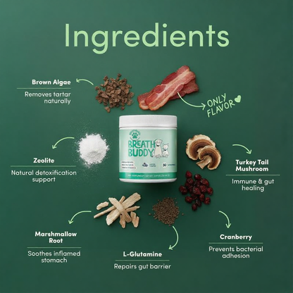 BreathBuddy Daily Dental Powder