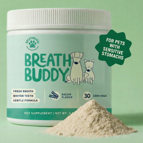 BreathBuddy Daily Dental Powder